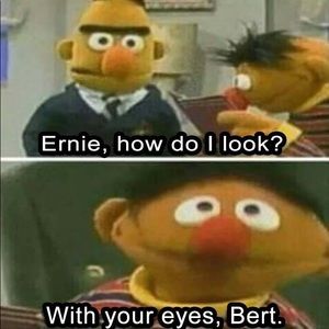 Meet your Posher, Roni